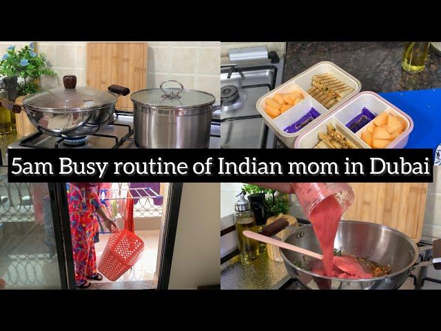 Busy routine of mom in Dubai | Honey Garlic Chicken | Tomato Chutney recipe