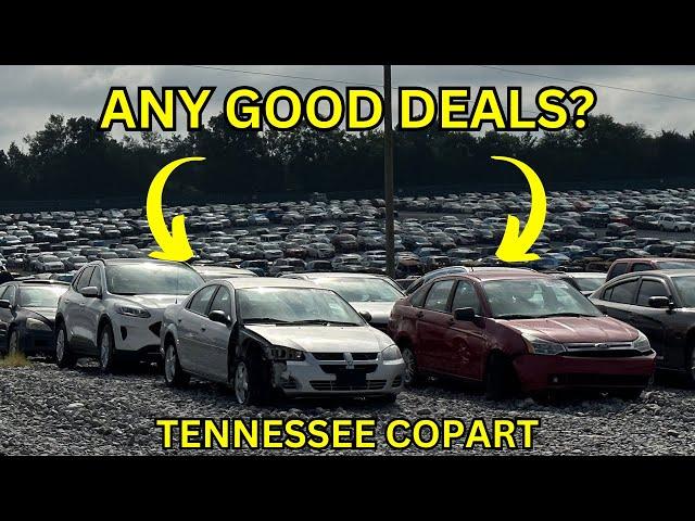 COPART WALKAROUND TENNESSEE COPART LOOKING FOR DEALS