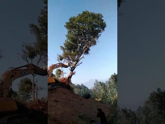 excavator big tree remove simlays#shorts#viral #skdvolg