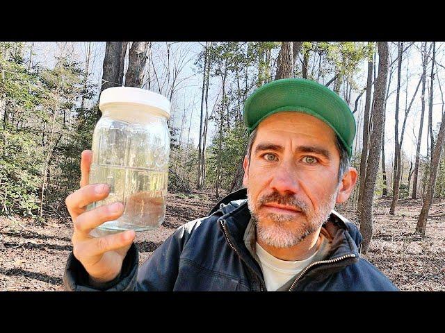 One Month Later Tapping Maple Trees in North Carolina