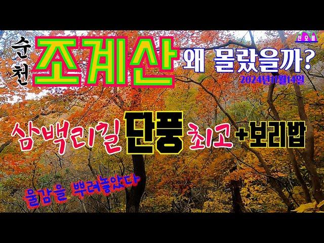 순천 남도 삼백리길 조계산 지금 단풍 최고 절정/송광사 홍골 단풍나무길 장군봉 보리밥집 선암골 단풍나무길 *왜 이제 알았나? /군립공원 100대명산 등산 가이드17.8km