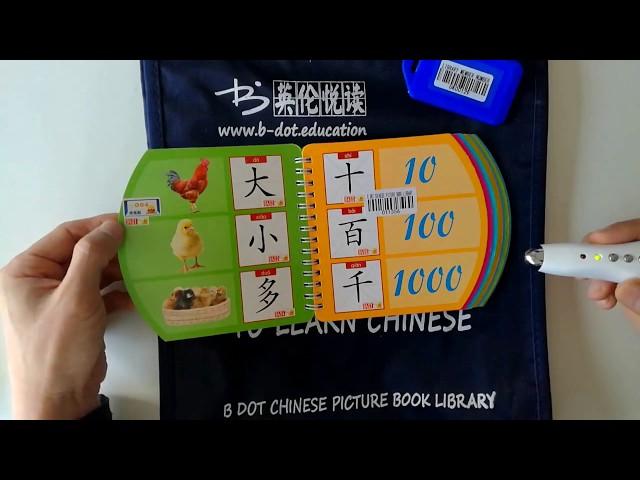 Chinese Picture Book and Reading Pen