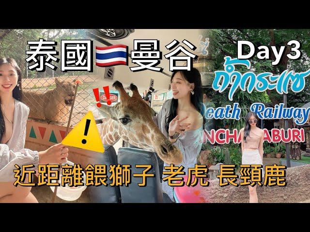 【旅遊Vlog】泰國曼谷 第三天 竟然快跑去緬甸了‼️為了 獅子老虎長頸鹿還有當地超級便宜的夜市 不能錯過【我是邵邵Kristy】