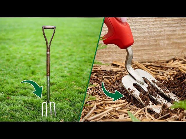 Garden Fork vs Border Fork: Which One is Right for Your Garden?