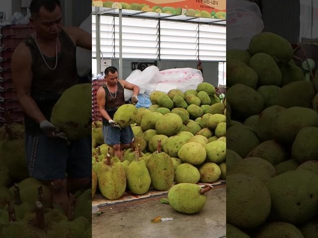 Amazing skill! How to cut jackfruit, the biggest fruit in the world / Thai street food