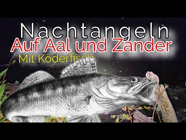 Sturm, Hitze, Eis, Regen ich geh Zander angeln #fishing #angeln #outdoor #zander #aal