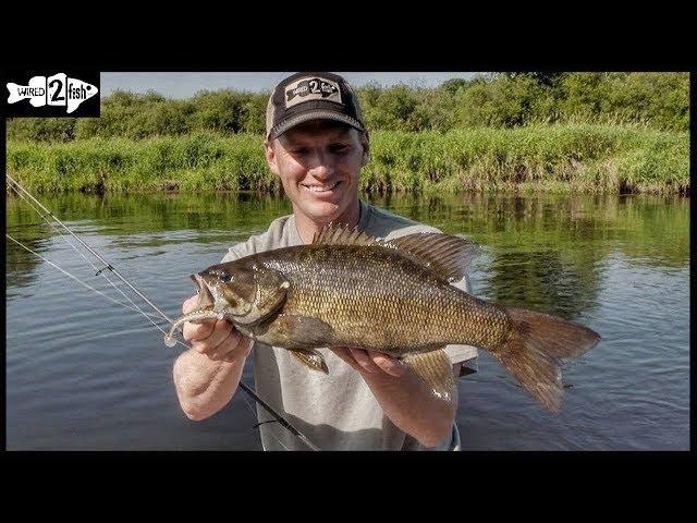 How to Target River Grassline Bass With Swimbaits