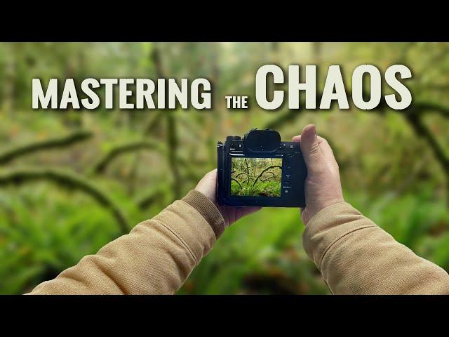 Master the Chaos: #1 Tip for Stunning Woodland Photography