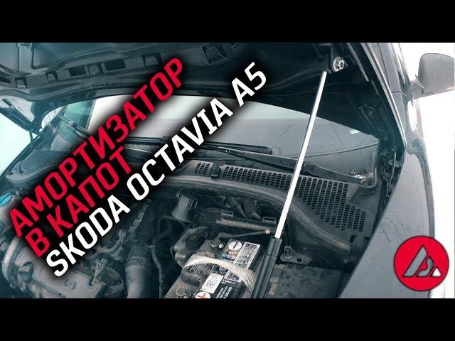 Амортизатор в капот skoda octavia a5, как это работает. ASP