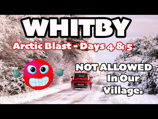 Whitby Area Snow Arctic Blast Days 4 and 5 Nov 2024