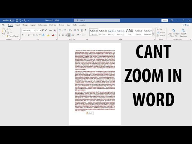 Word - zoom not working [FIX]