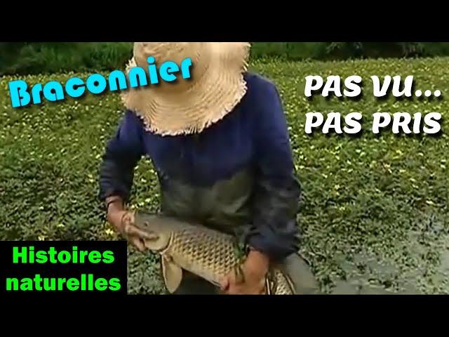 PAS VU ... PAS PRIS   Histoires Naturelles Braconnage Braconnier Chasse Pêche Nature Ni vu, ni connu