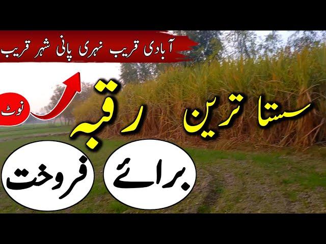 Agriculture Land for sale in punjab pakistan | Raqba for sale | Zameen for sale | Ep 63