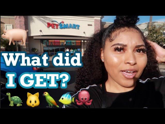 MY FIRST PET EVER!!!! (SO ADORABLE) | GUINEA PIG SHOPPING PETSMART VLOG