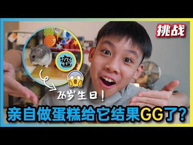 [挑战] 亲自做蛋糕给Sesame; 结果GG了?!!! [JudeTube]