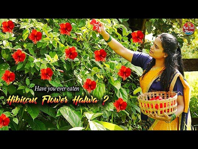 "A day with Hibiscus Flowers" | Making Tea, Oil, Popcorn, Halwa | Village Cooking | Red Soil Stories