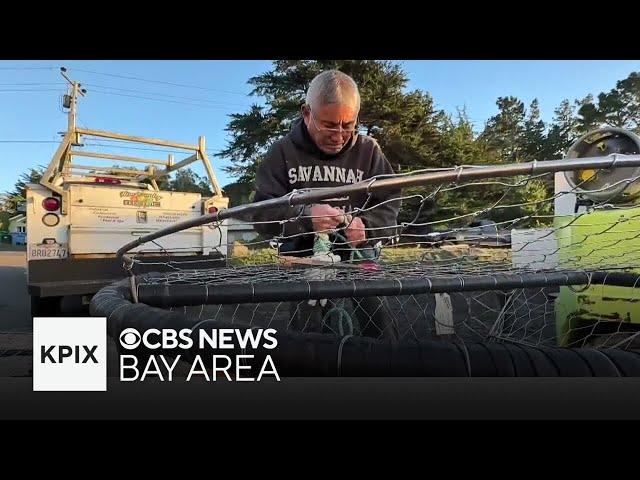 Bay Area crabbers lobby for different whale-safe alternative methods