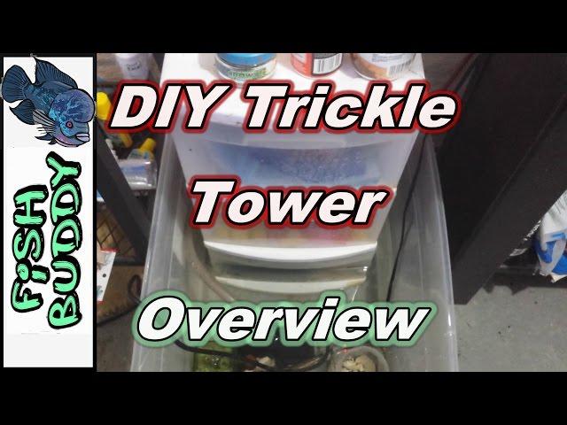 DIY Trickle Tower Filter and Overflow Overview