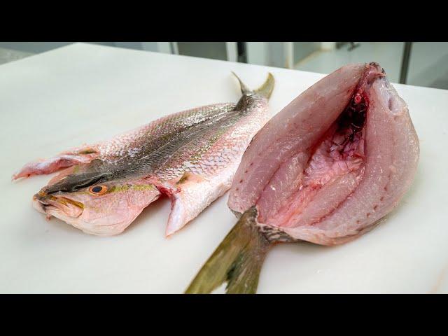 Butterfly Yellowtail Snapper Like This