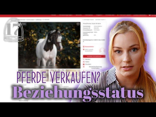 Beziehungsstatus? Pferde verkaufen? | #17