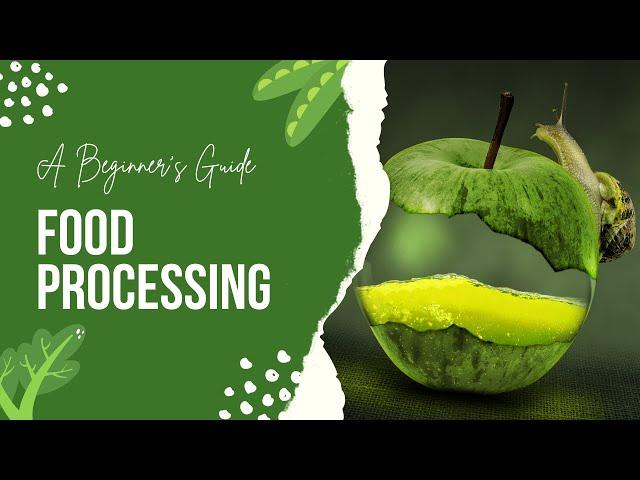 Food processing |7 Importance of Food Processing: A Beginner's Guide