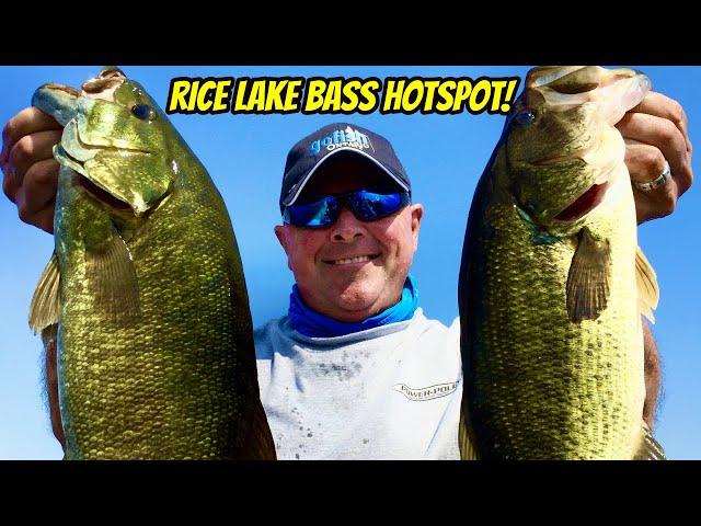 RICE LAKE BASS HOTSPOT- Bass X Digital Episode