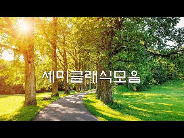 [광고없음][NO ADS] 클래식 명곡 베스트 | 부드러운 아침을 위한 명곡 클래식 음악 모음 | 카페에서 책 읽을 때 좋은 클래식