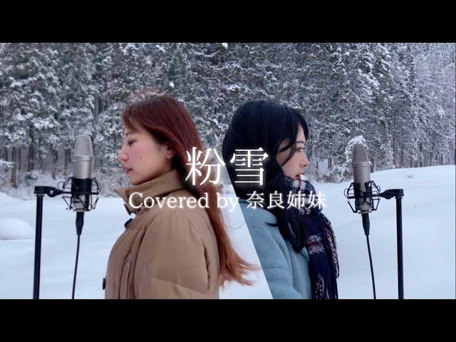 【姉妹でハモる / MV】粉雪 / レミオロメン Covered by 奈良姉妹