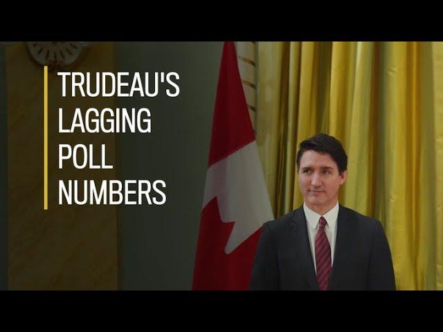 Majority of Canadians want Trudeau to resign