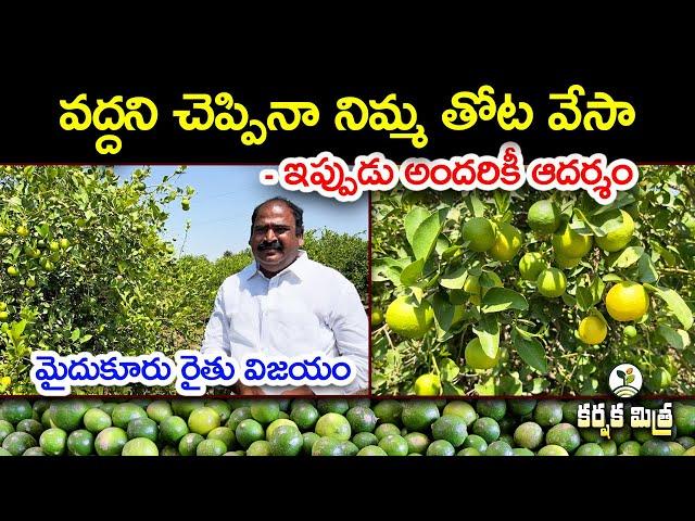 నిమ్మ తోట సాగులో మైదుకూరు రైతు విజయం || The Success Story of a Lemon Farmer || Karshaka Mitra #agri