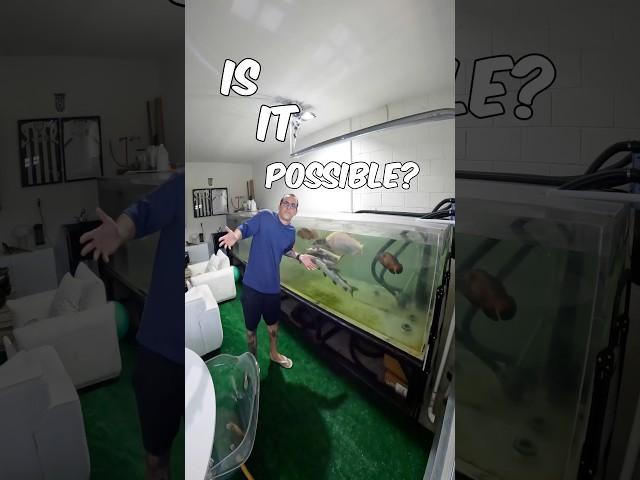 How I Solved Fishroom Humidity and Heat Problems!