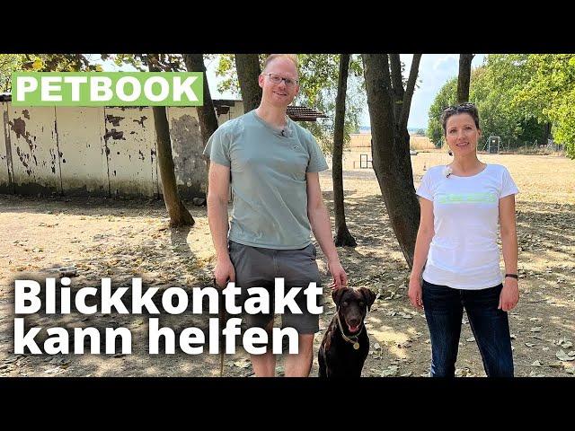 Aufmerksamkeitssignal mit Hunden trainieren | Dogschool | PETBOOK