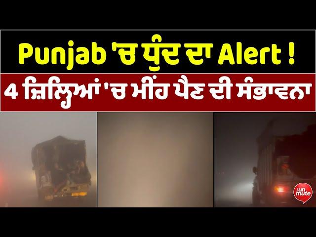 Punjab 'ਚ ਧੁੰਦ ਦਾ Alert ! 4 ਜ਼ਿਲ੍ਹਿਆਂ 'ਚ ਮੀਂਹ ਪੈਣ ਦੀ ਸੰਭਾਵਨਾ | The Unmute