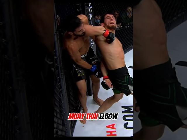 Muay Thai elbow blow  #muaythai  #mma #punch