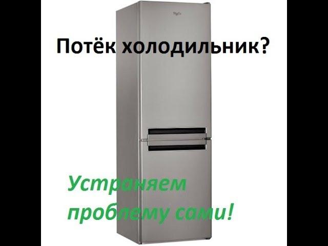 Потёк холодильник Whirlpool с системой No Frost. Устраняем проблему своими руками..