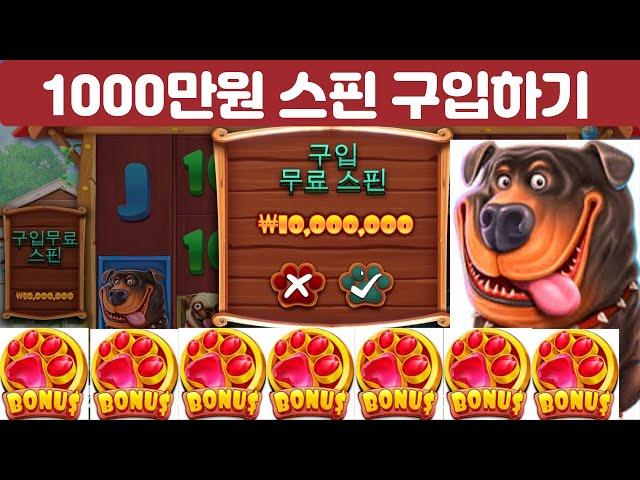 슬롯머신 이기는 방법 ㅣ 1000만원 슬롯 스핀 구입하기-개집은 사랑입니다(BUY FREE SPINS)