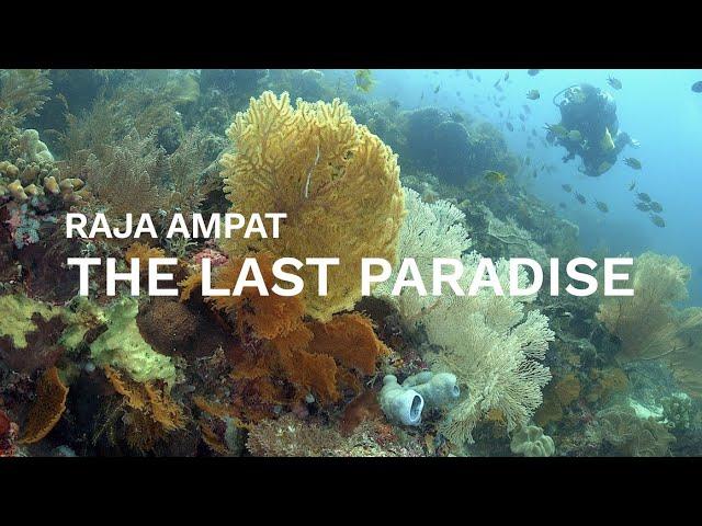 Raja Ampat - The Last Paradise | Episode 1 Sorido Bay Resort & Cape Kri | Indonesia | 4K (2021)