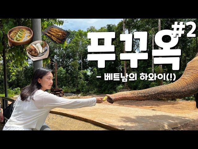 [vlog] 베트남 푸꾸옥 5박 6일 여행 브이로그 l PART 2 빈펄 사파리, 즈엉동 시장, 소나시 시장, 혼똔섬