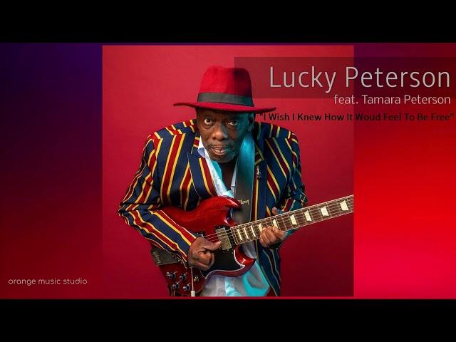 Lucky Peterson -  I Wish I Knew How It Would Feel To Be Free feat. Tamara Peterson