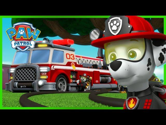 Oltre 1 ora di episodi Ultimate Rescue e altro ancora - PAW Patrol I cuccioli Episodi Italiano