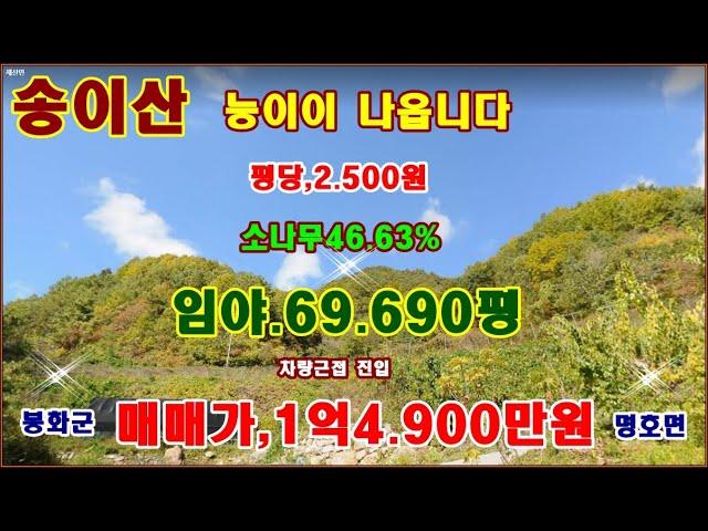 물번,638번) 송이,능이 나는 임야.69.690평 평당,2.500원에 매매합니다 지적도상의 법전도로 되여 있습니다 주차 시켜놓고 180m 도보로 이동 매매가,1억4.900만원매매