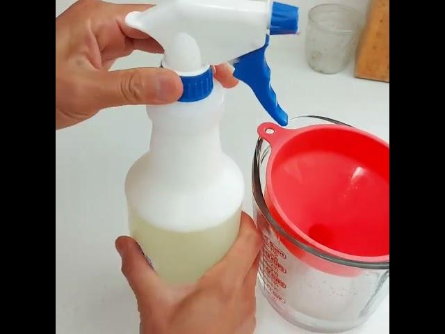 DIY Garden Bugs & Aphids Control Spray