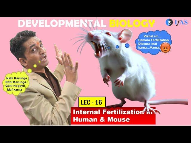 CSIR NET JUNE 2025 I Developmental Biology I Lecture 16 I Internal Fertilization Human Mice  I IFAS