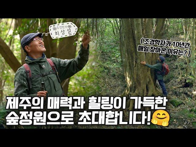 [ SUB ] 숲, 나의 정원 Forest, my garden | 정원의 발견 Wonders of Garden | KBS제주20240216 방송