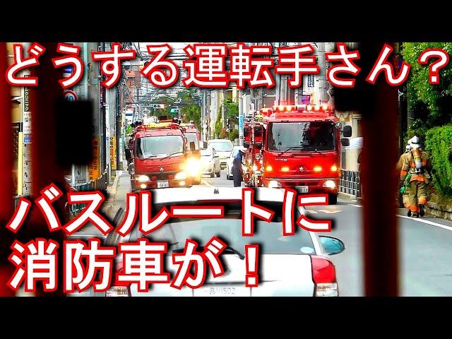 バスルートに消防車の大群！　どうする運転手さん？