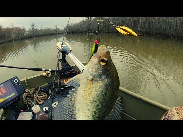 "Jigs with live minnows & Winter beetle spin tips for Crappie fishing"