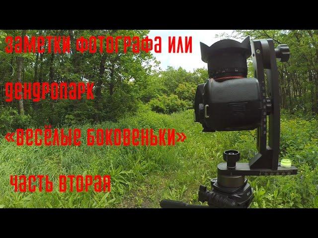Заметки фотографа или "Дендропарк Весёлые Боковеньки" часть вторая