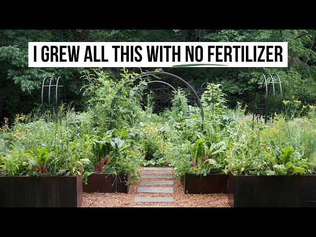 3 Reasons to Stop Gardening with Fertilizer (and What to Do Instead)