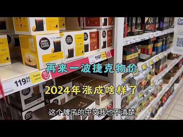 2024年捷克物价