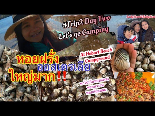 Trip2 Day2 Let’s go camping at Hobart Beach Campground. แค้มป์ปิ้งวันที่2 เก็บหอยแครง หอยนางรม